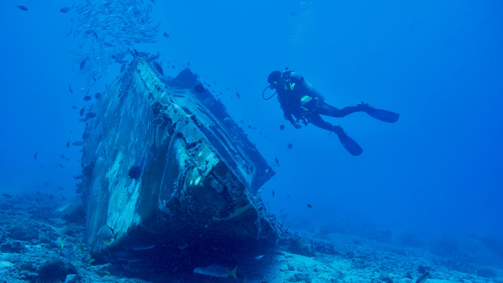 Northern Red Sea Wreck Safari